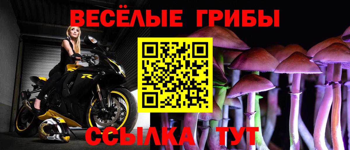 Галлюциногенные грибы мицелий Чистополь