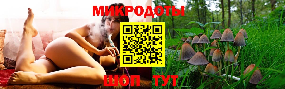 Чистополь  Галлюциногенные грибы Psilocybine cubensis  Вход с VPN 