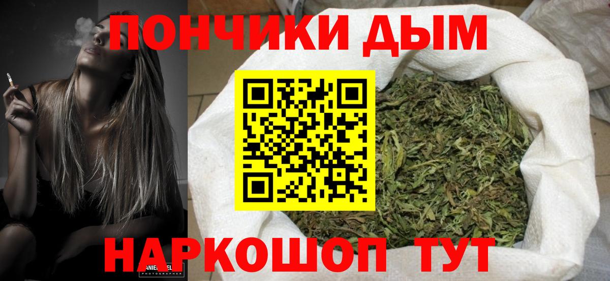Чистополь  Конопля план  Вход с VPN  Шишки марихуана гибрид 